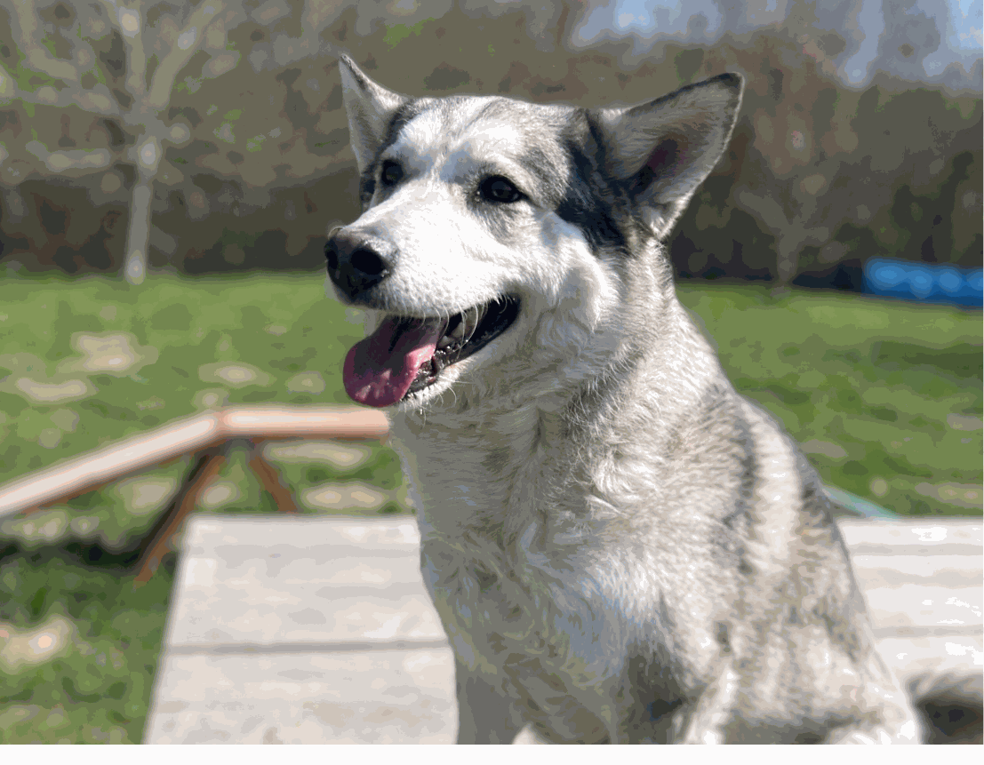 Husky Milow