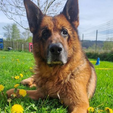 Zeus und Hera