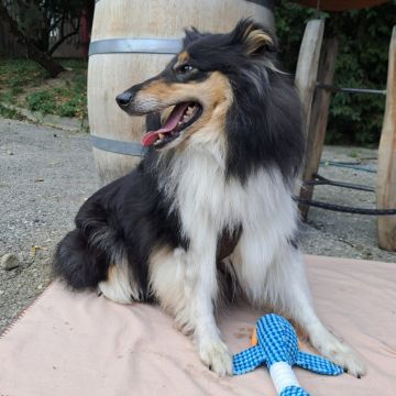 Hera
