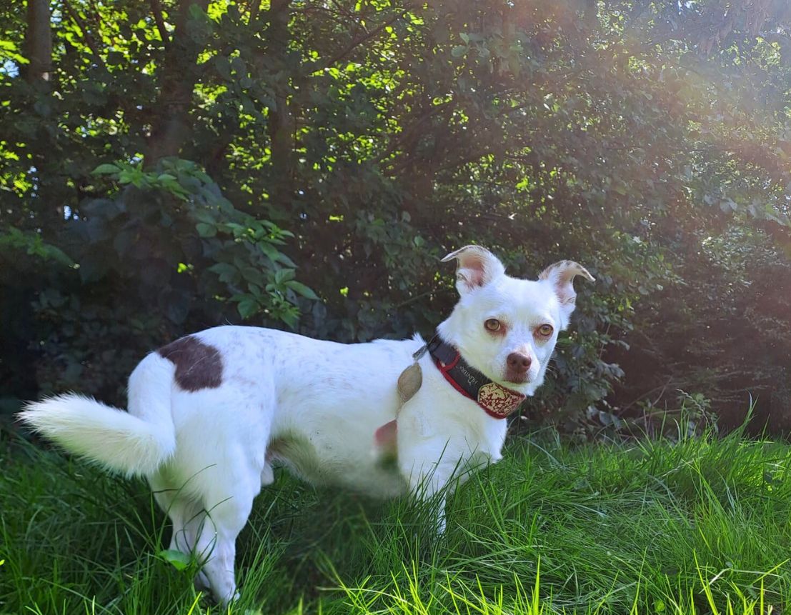 Zeus und Hera