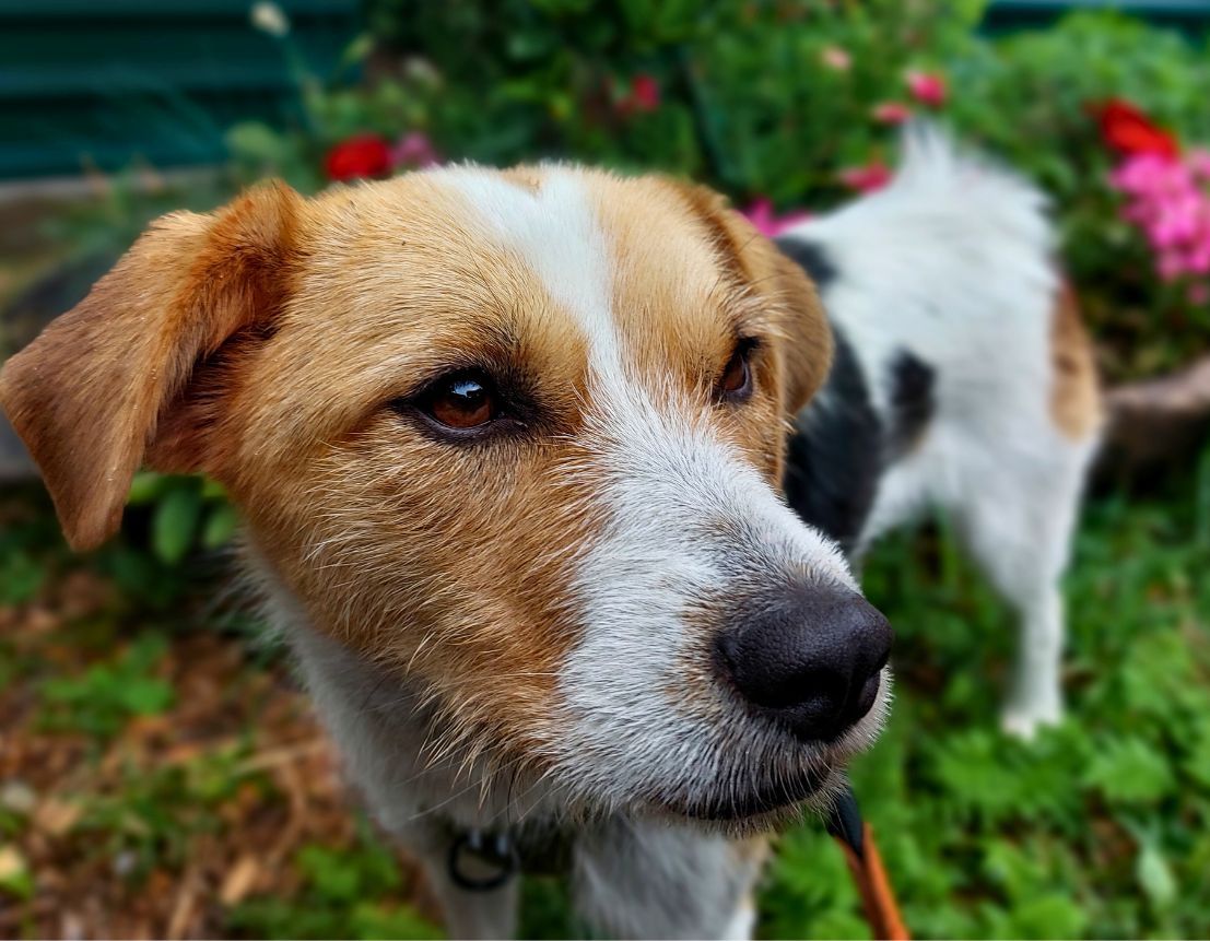 Zeus und Hera